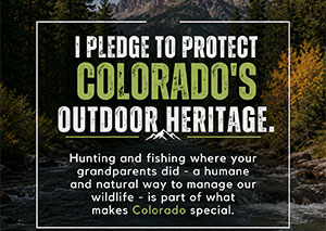 Take the Pledge graphic 2